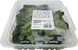 Grown Kosher Green Romaine Lettuce