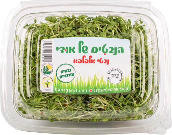 נבטי אלפלפא אורגניים