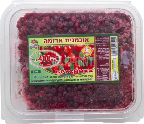 אוכמניות אדומות 400