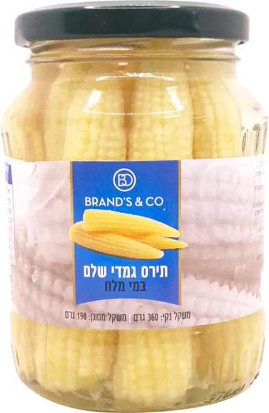 תירס גמדי שלם במי מלח