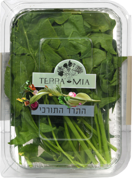 עלי תרד טורקי