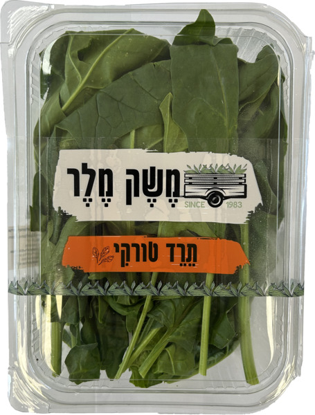 תרד טורקי