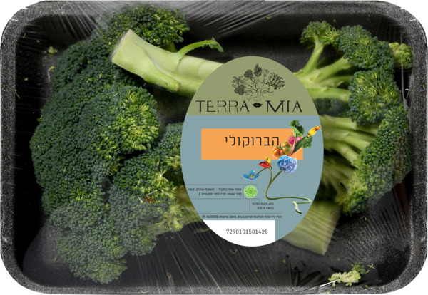 ברוקולי ארוז