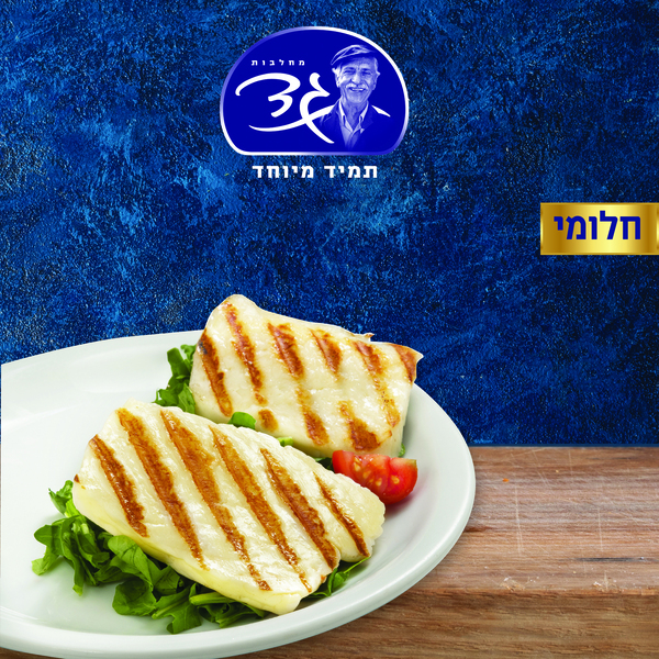 חלומי מוסדי