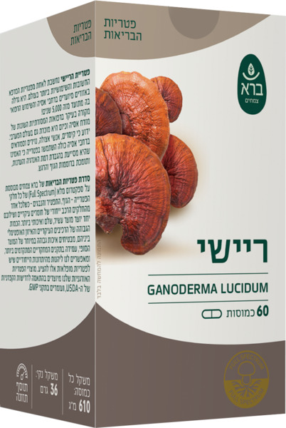 ריישי