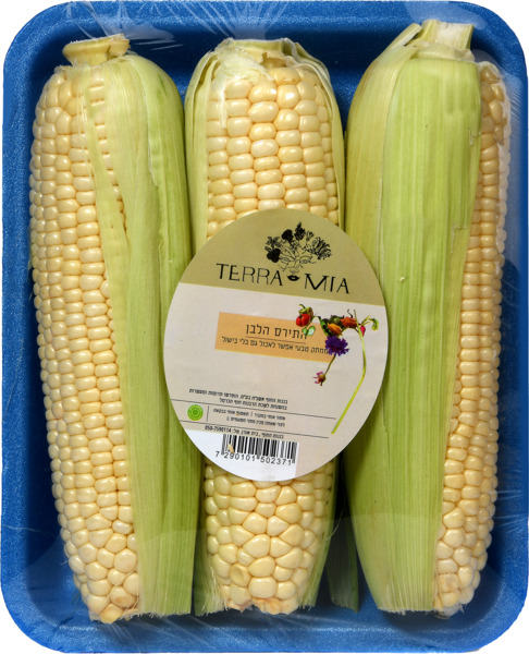 התירס הלבן תוק טרה מיה