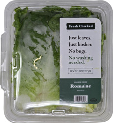 Washed & Checked Romaine