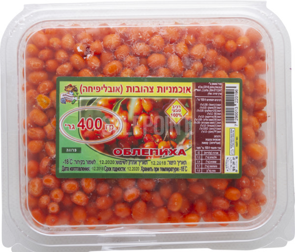 אוכמניות צהובות אובל