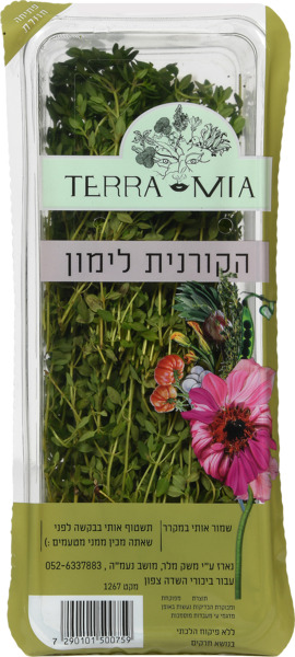 קורנית לימון