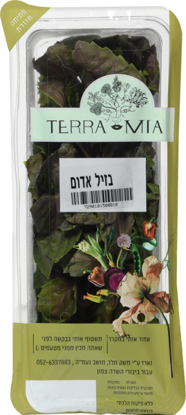 בזיליקום אדום