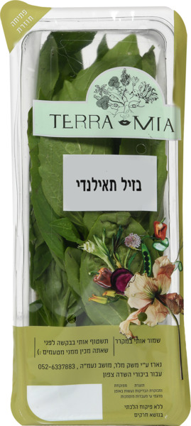 בזיליקום תאילנדי terra mia