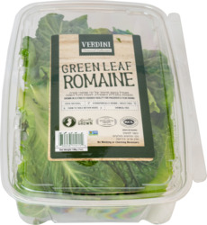 Green Leaf Romaine