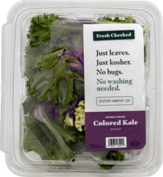 Washed & Checked Colored Kale
