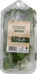 Petit Greens Cilantro