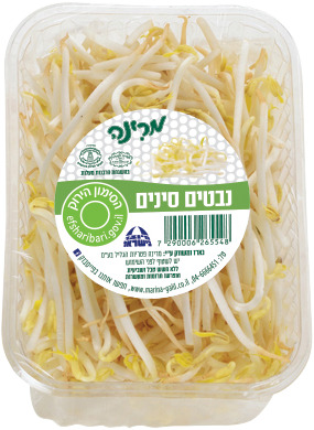 נבטים סינים מרינה ארוז 360ג'