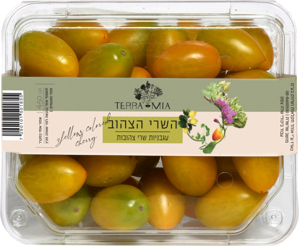 עגבניות שרי צהובות