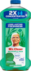 Multi Surface Cleaner w/ Meadows & Rain Scent