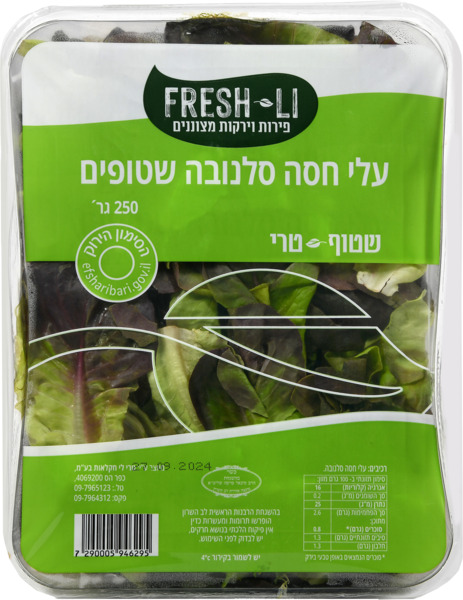 עלי סלנובה שטופים