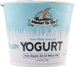 Handmade Artisanal Plain Yogurt