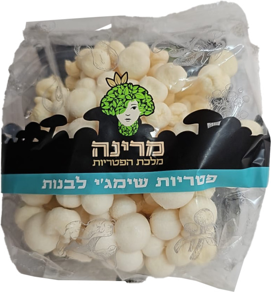פטריות שימאגי לבנות טרי יח' (מותג מרינה)