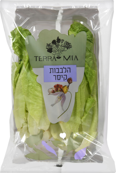 לבבות חסה קיסר רבנות