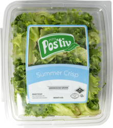 Summer Crisp Lettuce