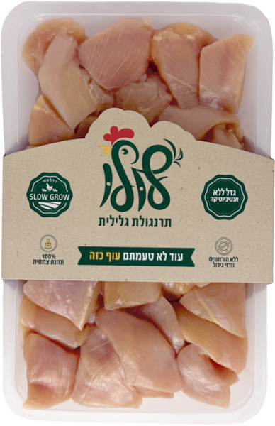 תרנגולת גלילית