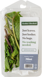 Washed & Kosher Checked Mint