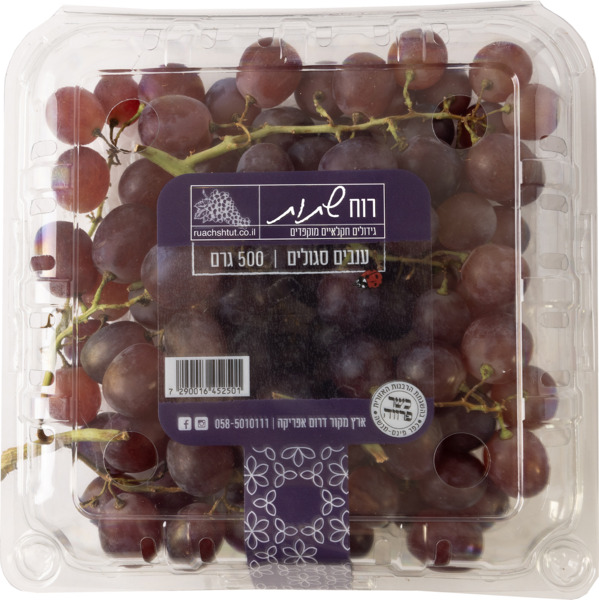 ענבים סגולים 500 גר
