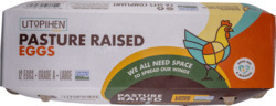 Pasture Raised Large Eggs 12 ct
