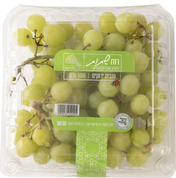 ענבים ירוקים 500 גר