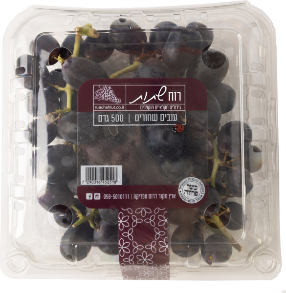 ענבים שחורים 500 גר