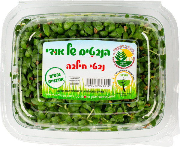 נבטי חילבה אורגניים כ- 90 גרם הנבטים של אודי