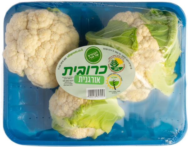 כרובית אורגנית כ- 600 גרם הנבטים של אודי