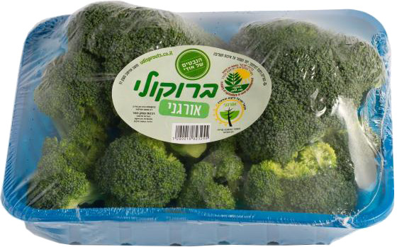 ברוקולי אורגני כ- 500 גרם הנבטים של אודי