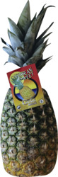 Super Sweet Pineapple