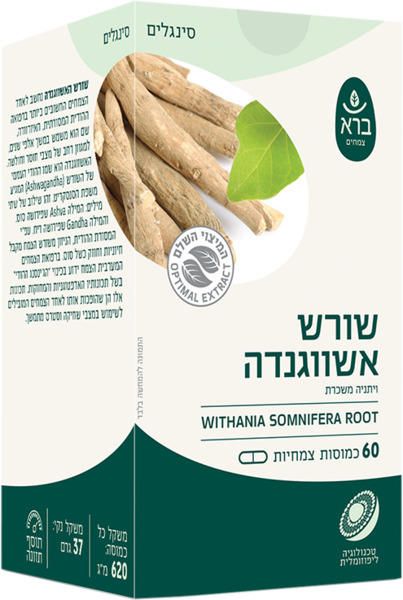 שורש אשווגנדה
