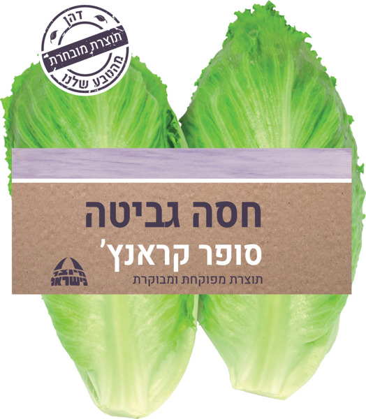 חסה גמביט
