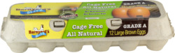 Cage Free All Natural Large Brown Eggs