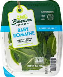 Pesticide Free Baby Romaine