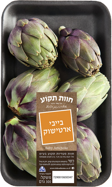 בייבי ארטישוק ארוז ח