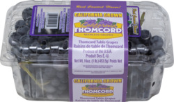 Thomcord Seedles Grapes