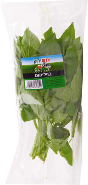 בזיליקום  ארוז