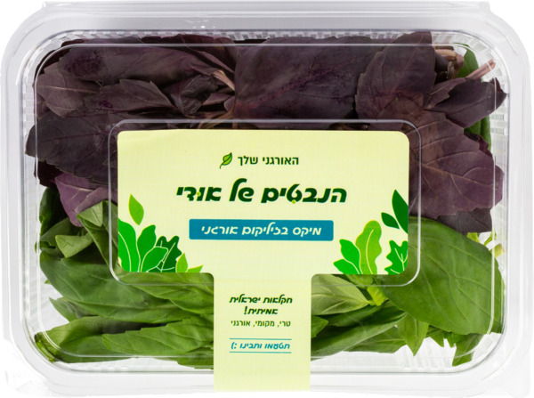 מיקס בזיליקום אורגני הנבטים של אודי