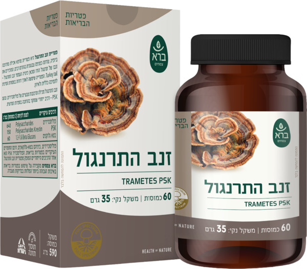 פטריות טרמטס זנב התר