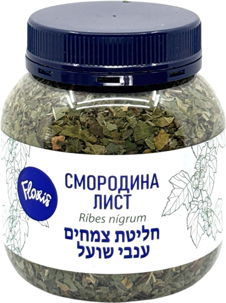 חליטת צמחים ענבי שועל