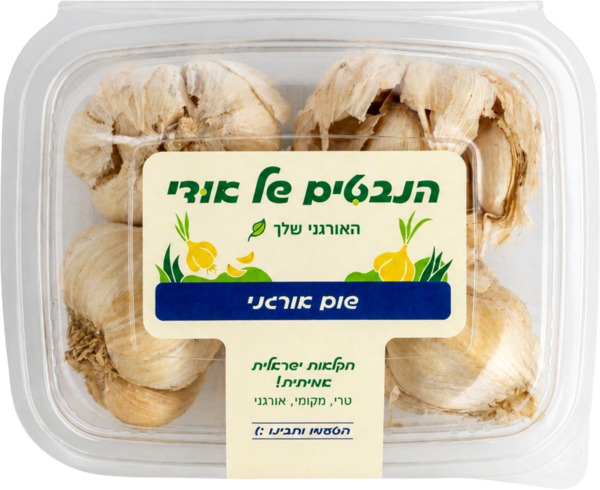 שום אורגני כ-220 גרם הנבטים של אודי