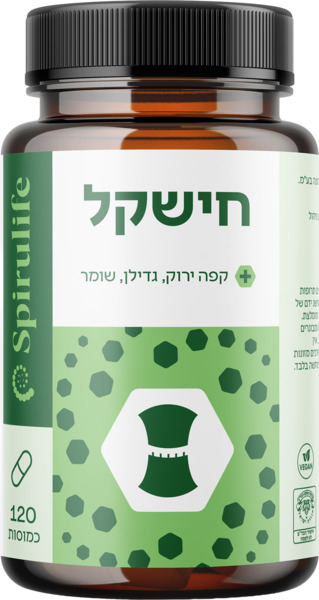 חישקל ספירולייף 120