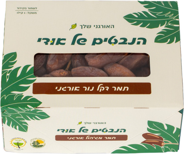 תמר דקל נור אורגני 1 ק"ג הנבטים של אודי