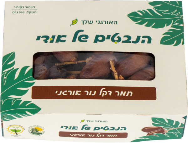 תמר דקל נור אורגני 500 גרם הנבטים של אודי